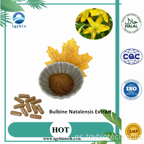 Extracto 100% natural de 10: 1 bulbino natalensis